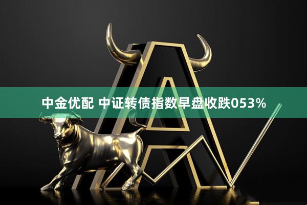 中金优配 中证转债指数早盘收跌053%